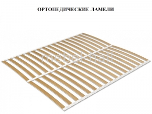 Ламели буковые ортопедические 180*200 см (895*53) Мебель Сервис