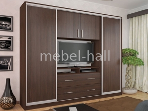 Шкаф купе Омега-2 с нишей под телевизор Ш 240 * В 220 * Г 45 см система серебро