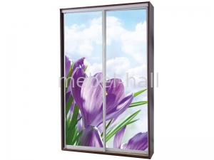 Шкаф-купе двухдверный Ш120хВ210хГ45 см фотопечать