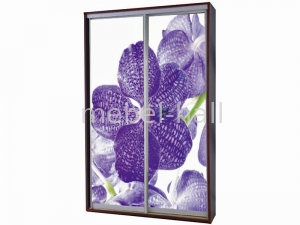 Шкаф-купе двухдверный Ш150хВ210хГ45 см фотопечать