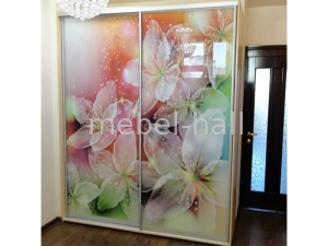 Шкаф-купе двухдверный Ш160хВ240хГ45 см фотопечать Влаби