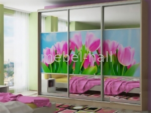 Шкаф-купе трехдверный Ш260хВ240хГ60 см зеркало фотопечать комби фасад