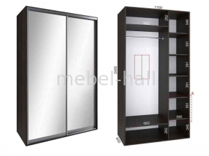 Шкаф-купе Стандарт 110*60*240 см Феникс на две двери