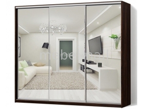 Шкаф-купе Стандарт 220x45x210 см Феникс на три двери