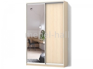 Шкаф-купе двухдверный Ш100хВ240хГ45 см зеркало серебро