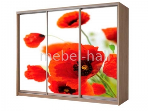 Шкаф-купе ширина 2400 высота 2100 глубина 600 ШК-19/2100 Влаби