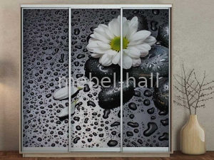 Шкаф-купе ширина 2400 высота 2400 глубина 600 ШК-26/2400 Влаби