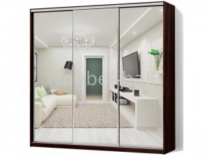 Шкаф-купе ширина 2500 высота 2100 глубина 450 ШК-20/2100