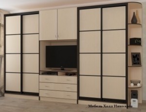Шкаф купе с нишей под телевизор МАКС-1 Ш 390 х В 220 х Г 60 см комби фасады